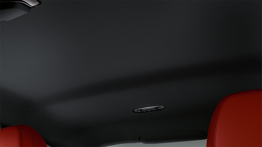 BMW Individual headliner anthracite BMW 4 Series Coupé G22 2020 interior cockpit